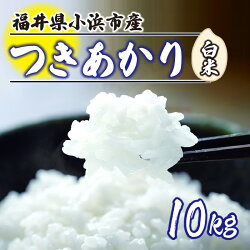 【ふるさと納税】【令和3年産】 福井県産つきあかり 白米10kg 若狭の恵 [A-002003] 画像1