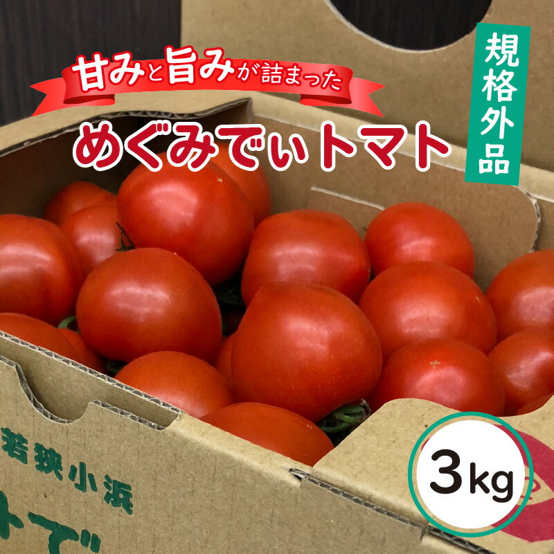 【ふるさと納税】【訳あり】めぐみでぃトマト 3kg 若狭の恵 越のルビー / トマト 発送 直送 トマトペースト リコピン 越のルビー 産地直送 訳あり とまと ミディトマト スープ 野菜 3キロ 夏 自家栽培 福井 小浜 ハウス栽培 規格外 不揃い 3kg 1kg [A-002029]