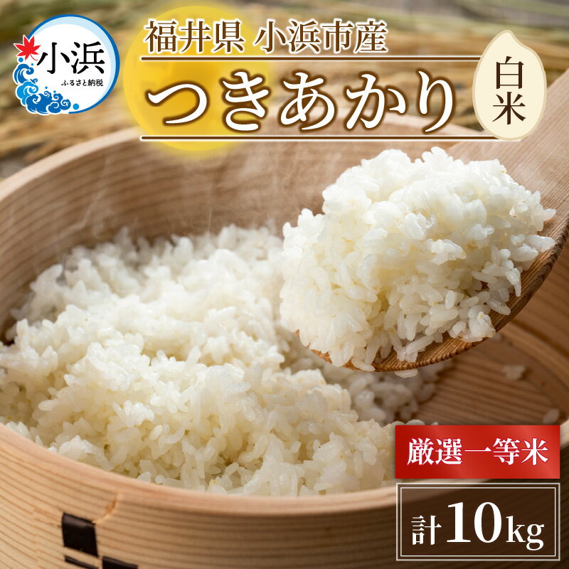 【ふるさと納税】令和5年産 福井県産 つきあかり 10kg × 1袋 | 米 コメ 白米 精米 ご飯 ごはん おにぎ...