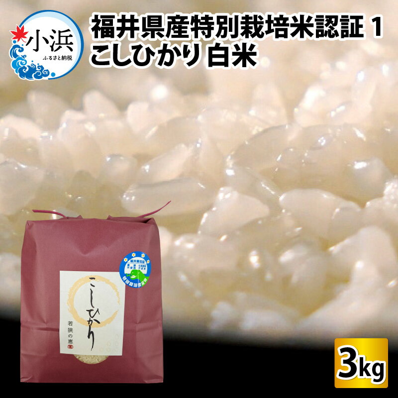 [令和5年産][最高ランク]福井県産特別栽培米認証1こしひかり 白米3kg 若狭の恵 | コシヒカリ コメ 白米 精米 3キロ ご飯 ごはん おにぎり 弁当 厳選 一等米 ブランド米 産地 直送 JGAP 認証 送料無料[A-002021]