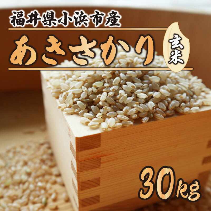 【ふるさと納税】【令和5年産】福井県産 あきさかり(玄米30kg) 若狭の恵 玄米 [C-002004]