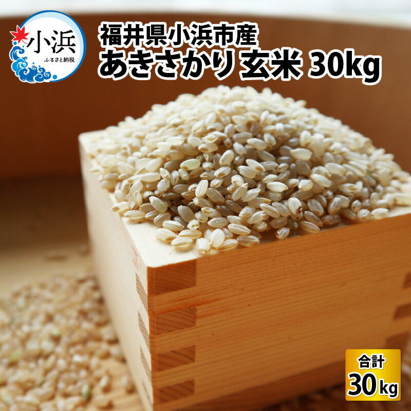 【ふるさと納税】【令和5年産】福井県産 あきさかり(玄米30kg) 若狭の恵 玄米 [C-002004]