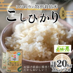 【ふるさと納税】【令和3年産】福井県産特別栽培米コシヒカリ 玄米10kg×2袋 若狭の恵 こしひかり[C-002003] 画像1