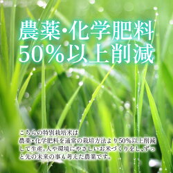 【ふるさと納税】【令和3年産】福井県産特別栽培米コシヒカリ 玄米10kg×2袋 若狭の恵 こしひかり[C-002003] 画像2