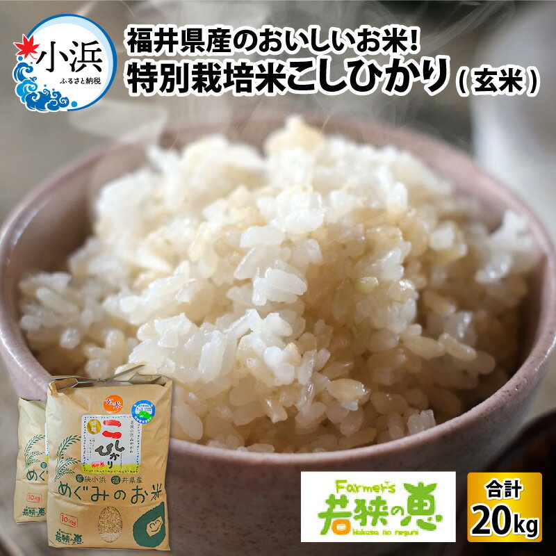 【ふるさと納税】【令和5年産】福井県産特別栽培米コシヒカリ 玄米10kg×2袋 若狭の恵 こしひかり[C-002006]