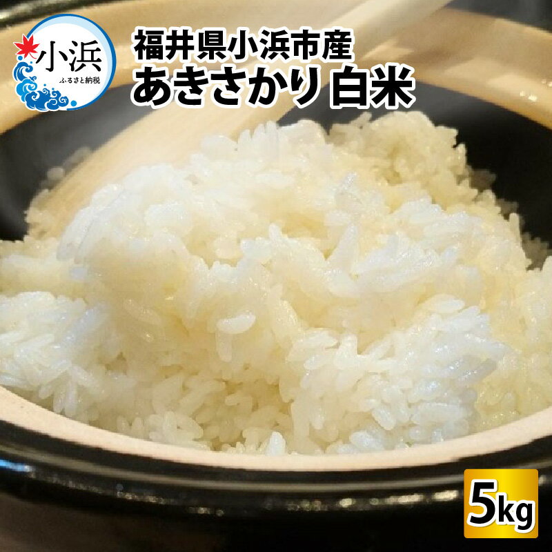 [令和5年産]福井県産あきさかり 白米5kg 若狭の恵 | 米 お米 おこめ 精米 あきさかり ブランド米 5キロ[Y-002001]