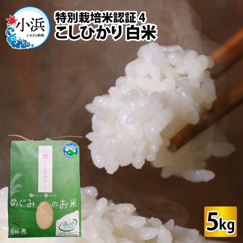 [令和5年産]福井県産特別栽培米認証4こしひかり 白米5kg | コシヒカリ 米 コメ 白米 精米 5キロ ご飯 ごはん おにぎり 弁当 便利 厳選 一等米 ブランド米 直送 JGAP 認証 送料無料[Y-002002]