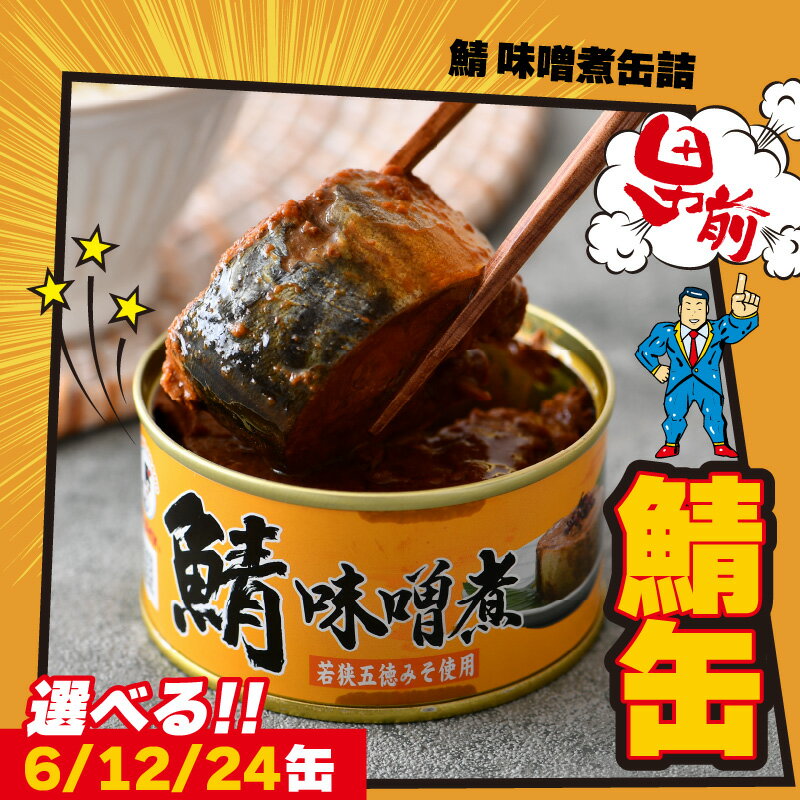 【ふるさと納税】【選べる容量】鯖味噌煮缶詰　6～24缶セット