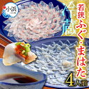 【ふるさと納税】【着日指定】 【冷蔵でお届け】 「若狭ふぐのてっさ」と「若狭まはたのお刺身」セット 4人前 / 養殖 養殖魚 産地直送 ブランド ふぐ皮 ひれ まはた マハタ 体験 海鮮 魚介 魚 ふぐ とらふぐ 若狭ふぐ 刺身 てっさ 冷蔵 お取り寄せ 旬 送料無料 [F-005003]