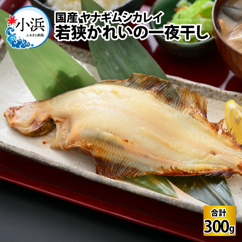 国産 若狭かれいの一夜干し 300g ヤナギムシカレイ 干物 乾物[B-007037]