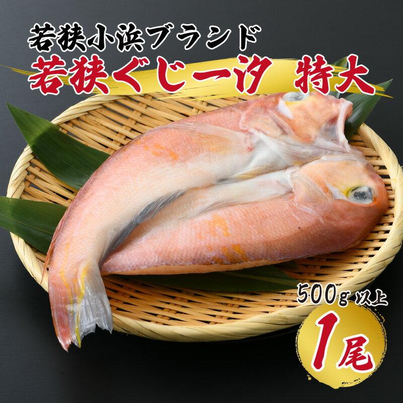 【ふるさと納税】若狭小浜ブランド 若狭ぐじ一汐 特大 500g × 1尾｜甘鯛 干物 ギフト [A-012001]