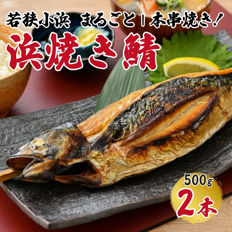 【ふるさと納税】若狭小浜 桝屋の浜焼き鯖2本入り｜ さば 鯖 焼き魚 酒の肴 おつまみ おかず 夕飯 500グラム×2 500g 1kg 焼き鯖 焼き サバ 半夏生さば 半夏生 丸焼き 丸焼きさば 福井名物 送料無料 [A-012002]