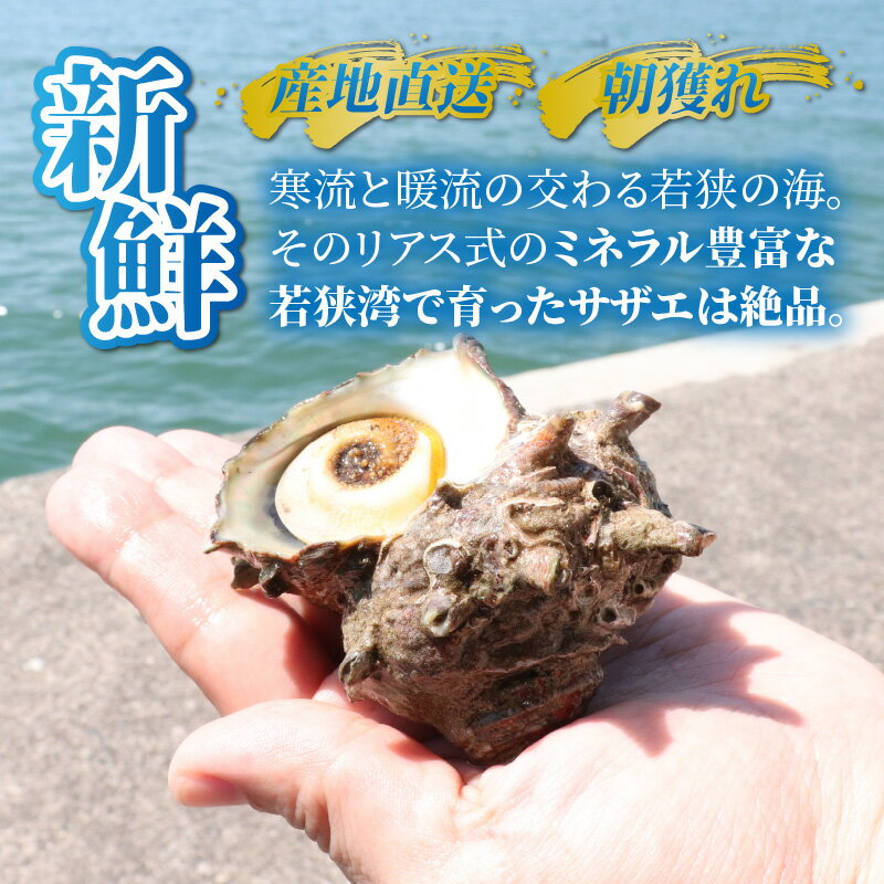 福井県小浜市の画像3