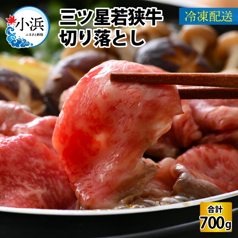 【ふるさと納税】三ツ星 若狭牛 切り落とし 700g｜牛肉 