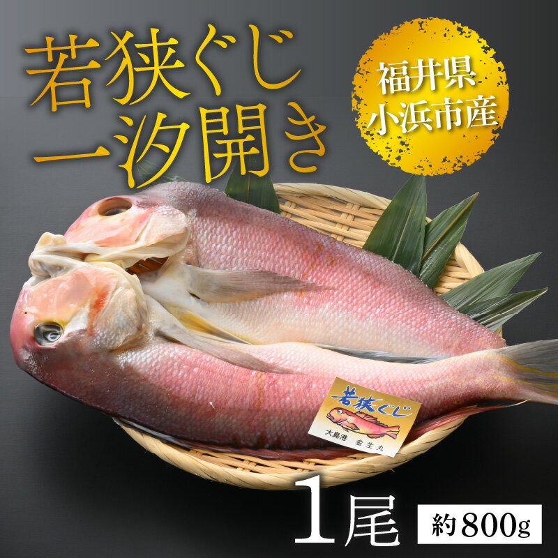 【ふるさと納税】【加福鮮魚】若狭ぐじ 一汐開き 1尾 800g　甘鯛 タイ アカアマダイ ぐじ 特大 高級 焼き魚 贈答 ギフト 冷凍 [C-015001]