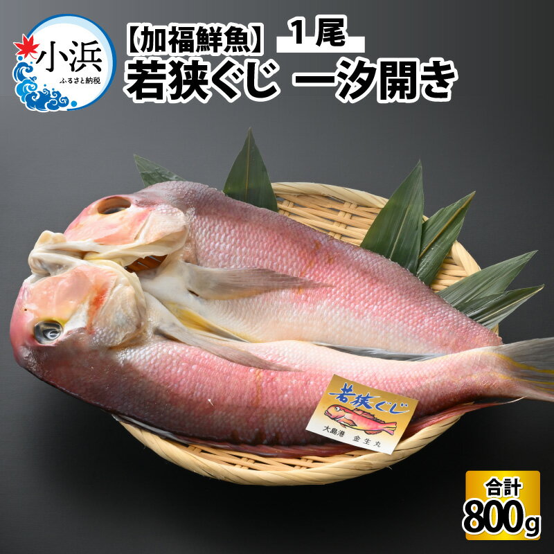 [加福鮮魚]若狭ぐじ 一汐開き 1尾 800g 甘鯛 タイ アカアマダイ ぐじ 特大 高級 焼き魚 贈答 ギフト 冷凍 [C-015001]