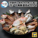 【ふるさと納税】《定期便》全6回 (隔月発送)【加福鮮魚】 季節の旬の魚をお届け！