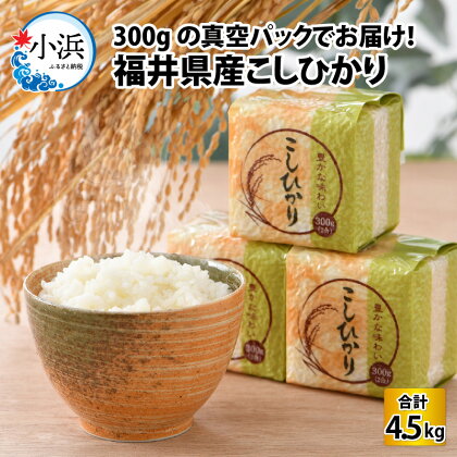 【令和5年産】真空パック 福井県産こしひかり 300g(約2合) × 15パック 計4.5kg/ 長期保存 コシヒカリ 白米 精米 [A-017021]