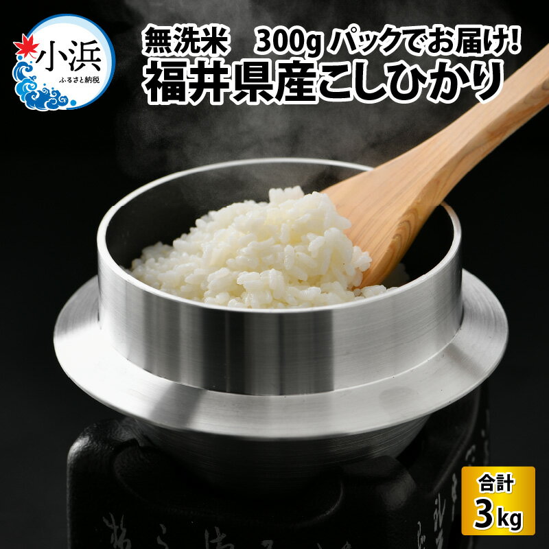 [令和5年産]無洗米 福井県産こしひかり 300g(約2合) × 10パック 計3kg/ コシヒカリ 白米 精米 [A-017023]