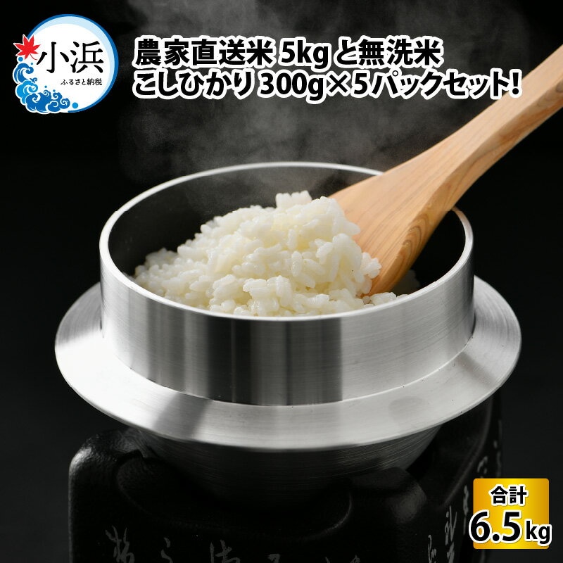 [令和5年産]農家直送米5kgと無洗米こしひかり2合×5パックセット/ 福井県産 こしひかり 白米 精米 [A-017029]