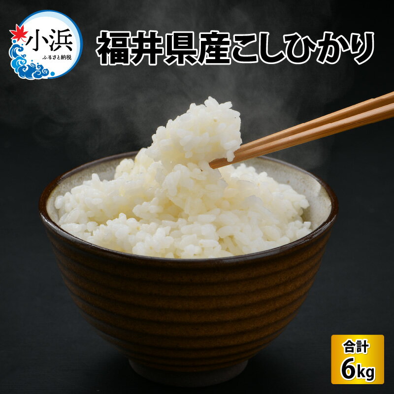 [令和5年産]福井県産こしひかり 3kg × 2袋 計6kg(紙袋入り)/ コシヒカリ 米 精米 [A-017025]