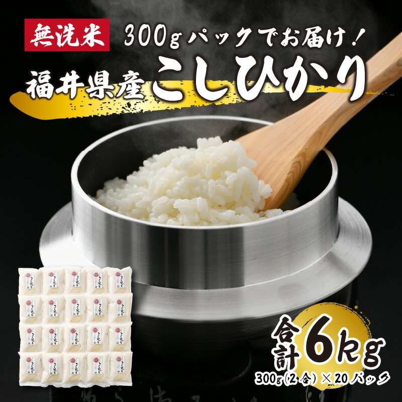 【ふるさと納税】【令和5年産】無洗米 福井県産こしひかり 2合 × 20パック/ コシヒカリ 米 [B-017013]