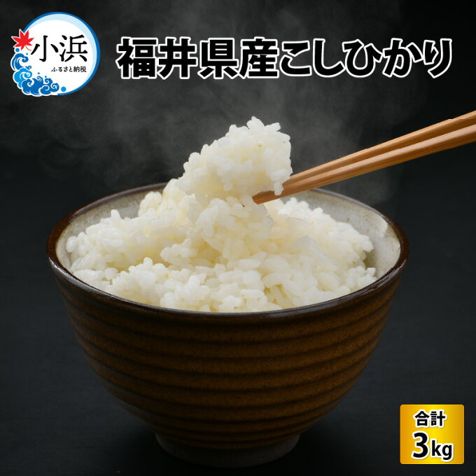 【ふるさと納税】【令和4年産】福井県産こしひかり 3kg(紙袋入り)米 コシヒカリ ...