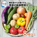 20位! 口コミ数「0件」評価「0」鯖街道からお届けする季節の新鮮野菜セット　8種以上 | 野菜 セット 詰合せ 地産地消 野菜セット 新鮮 旬 旬の野菜 冷蔵 送料無料[A-･･･ 