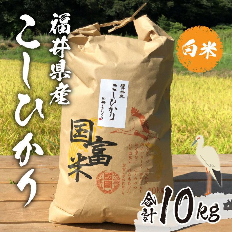 【ふるさと納税】【2022年9月中旬より順次発送】【令和4年産】 福井県産 こしひかり 白米 精米 10kg コシヒカリ [A-046001]