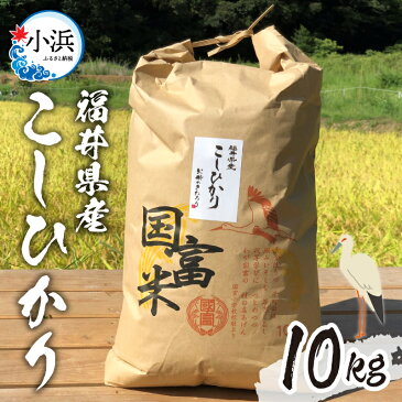 【ふるさと納税】【2022年9月中旬より順次発送】【令和4年産】 福井県産 こしひかり 白米 精米 10kg コシヒカリ [A-046001]