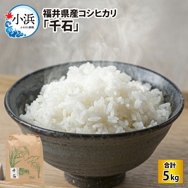 [令和5年産]福井県産コシヒカリ「千石」 5kg/ 米 お米 こしひかり 小分け 送料無料 [Y-079001]