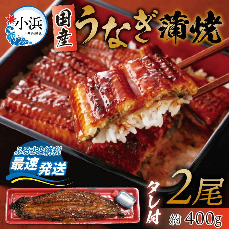 28位! 口コミ数「0件」評価「0」 【冷蔵でお届け】 国産 うなぎ 蒲焼 2尾 約 400g タレ 付 ／ 冷蔵 鰻 ウナギ 鰻蒲焼 ウナギ蒲焼用たれ タレ 土用 丑の日 ギ･･･ 