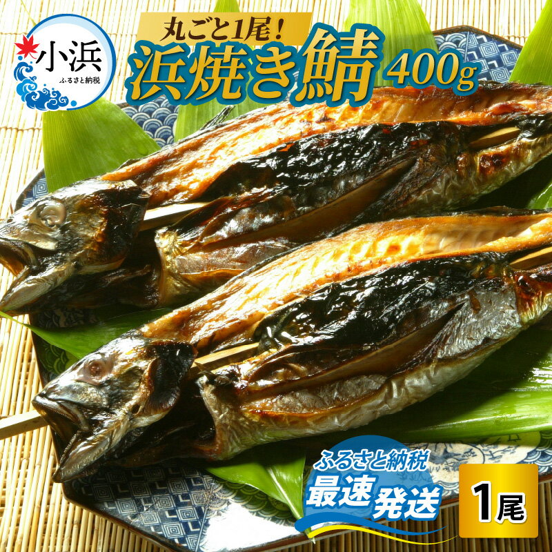 【ふるさと納税】浜焼き鯖 400g 1尾 / さば サバ 鯖 丸焼き鯖 400g 1本 熨斗 のし 冷蔵 送料無料 [Y-090003]