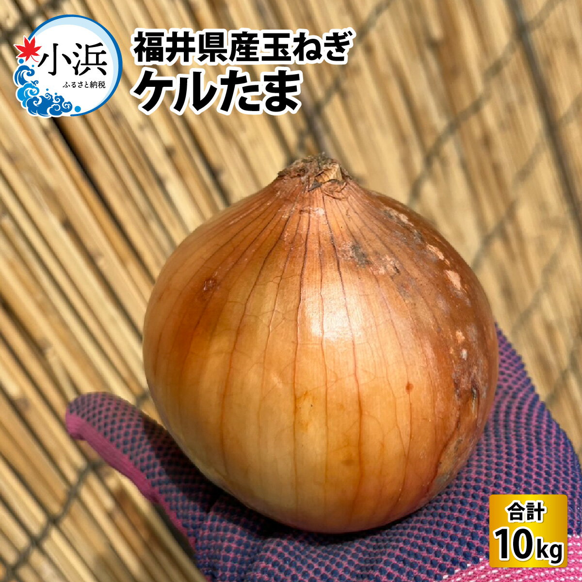 [先行予約]福井県産玉ねぎ ケルたま 10kg[2024年7月上旬より順次発送] |ケルセチン 玉葱 玉ねぎ 甘い タマネギ 送料無料 [Y-086001]