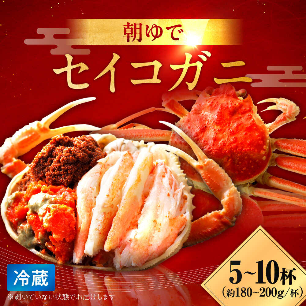 朝ゆで 国産 セイコガニ 冷蔵 チルド[容量が選べる 5杯 or 10杯]/ 香箱カニ コッペガニ かに ズワイガニ 蟹 せいこがに せいこ蟹 5 カニ かにみそ カニ鍋 冬 旬[配送不可地域:北海道・沖縄・離島] [BFAA004]