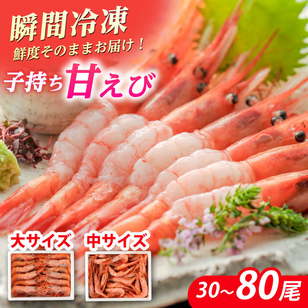 子持ち 甘えび(冷凍・刺身用)500g〜1kg [最速発送][容量が選べる] | 甘エビ 海老 えび エビ 冷凍 アマエビ あまえび 甘海老 生食 刺身 産地直送 国産 人気 送料無料 福井県小浜市 [配送不可地域:北海道・沖縄・離島] [BFAA048]