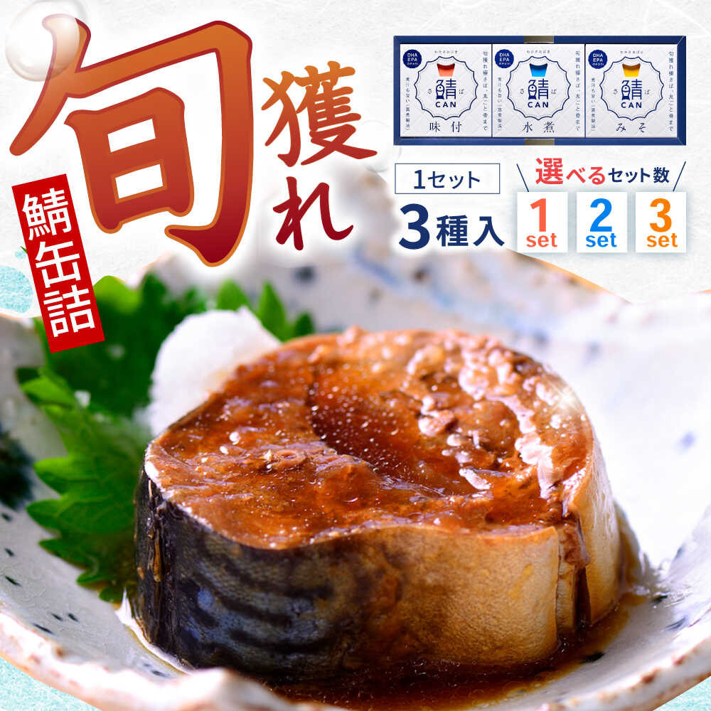 【ふるさと納税】旬獲れ 鯖缶詰 3ケ詰め合わせ(味付・味噌・