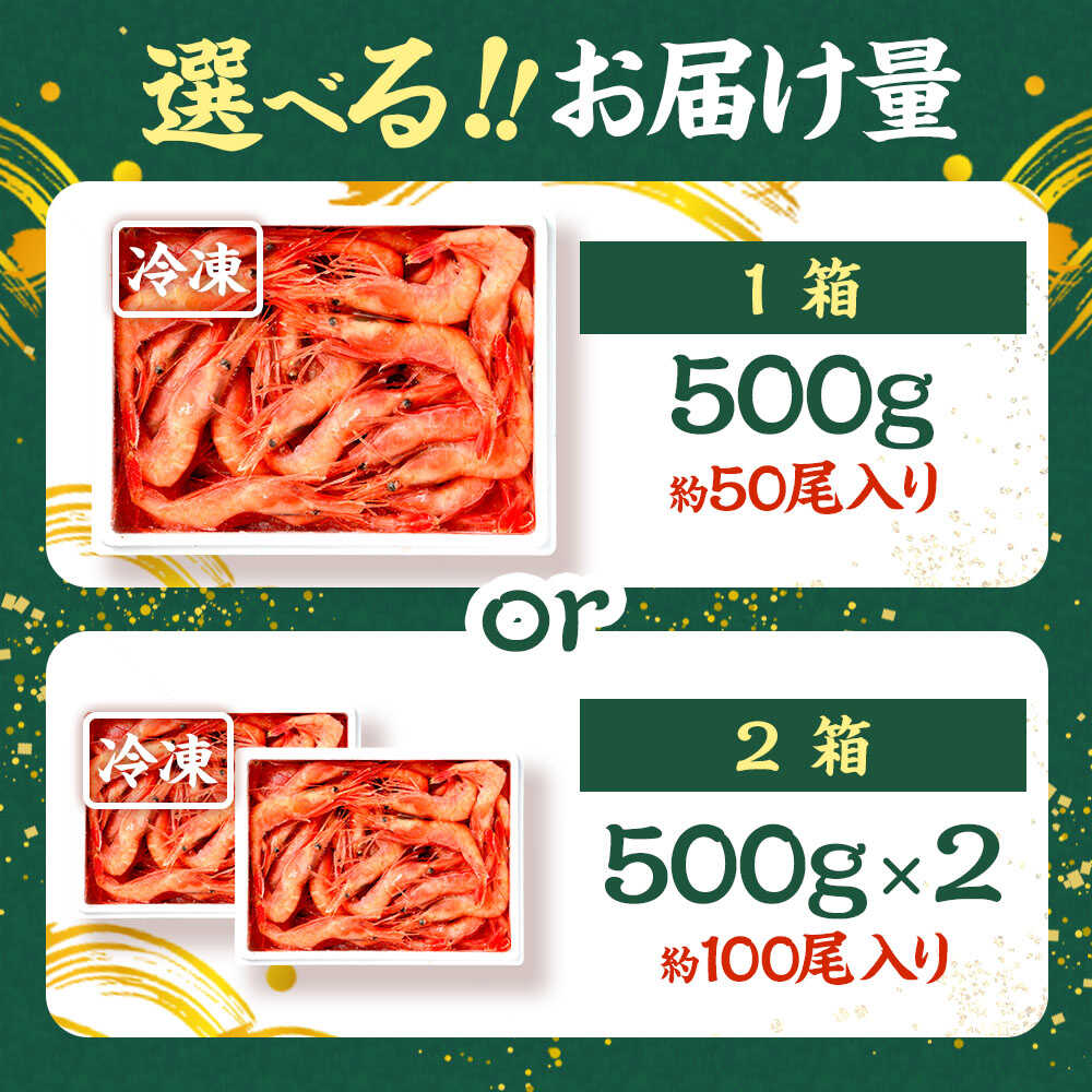 【ふるさと納税】【年内配送】【選べる容量】日本海 甘えび 500g (約50尾)×1箱 or 500g (約50尾)×2箱 / 刺身OK 冷凍 あまえび 船凍 ホッコクアカエビ アマエビ 甘エビ 福井県 小浜市 / 小浜海産物 【配送不可地域：北海道・沖縄・離島】[BFAA082]