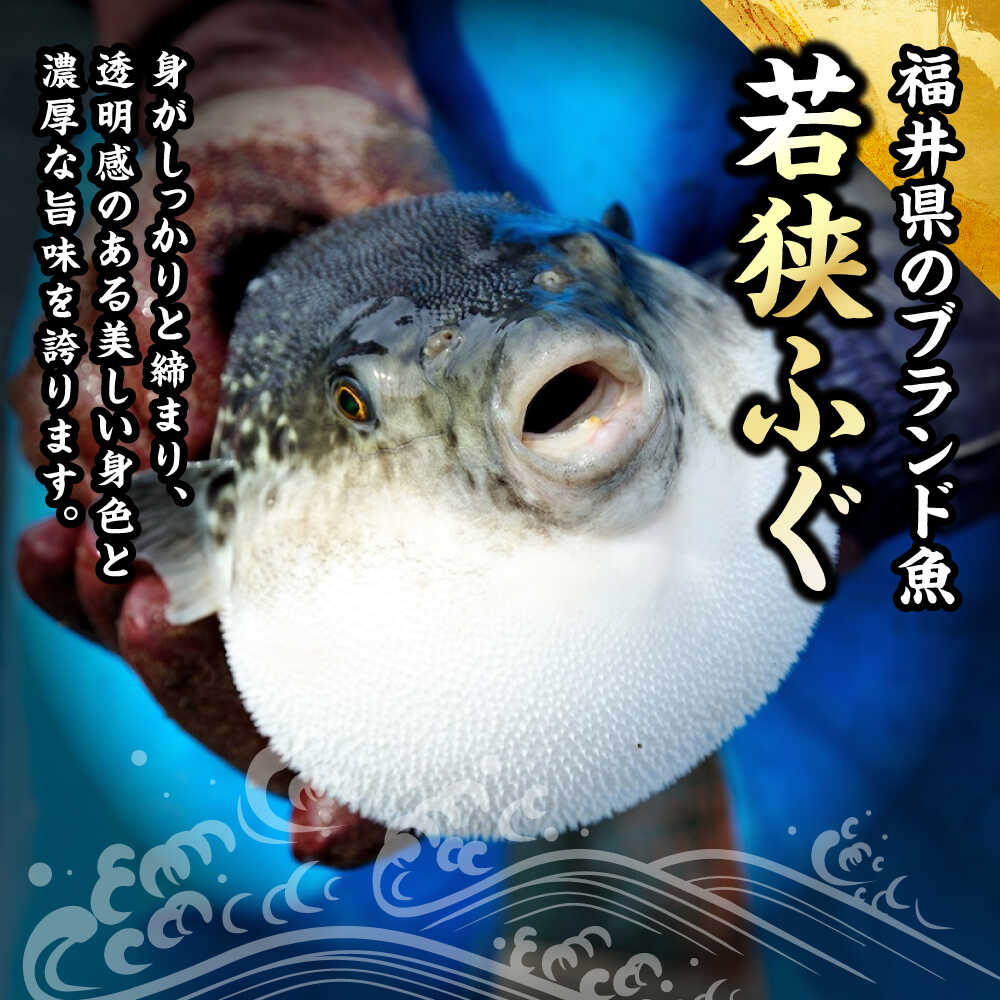 【ふるさと納税】若狭ふぐフルコース付 ペア宿泊券(一泊二食付) / 宿泊 宿泊券 民宿 旅行 旅 海鮮 食品 魚介 高級 魚 鮮魚 ふぐ 河豚 とらふぐ 若狭ふぐ 刺身 てっさ ふぐ皮 ひれ ブランド 冷蔵 小浜市 / 若狭ふぐの宿 下亟 [BFAF003] 3