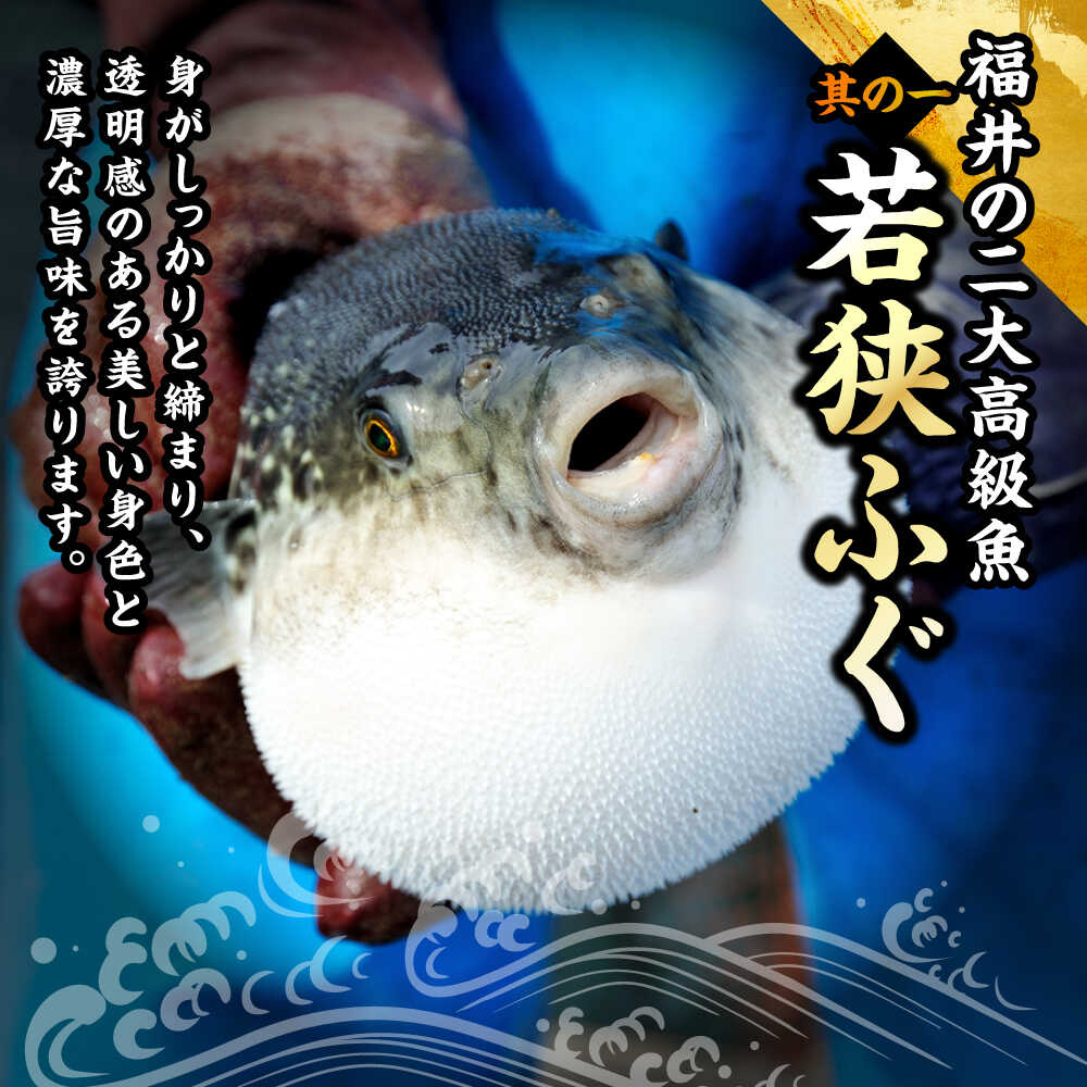 【ふるさと納税】若狭ふぐ・マハタ料理付 ペア 宿泊券(一泊二食付き) / 宿泊 宿泊券 民宿 旅行 旅 体験 体験型 温泉 海鮮 食品 魚介 高級 魚 鮮魚 ふぐ 河豚 とらふぐ 若狭ふぐ 刺身 てっさ ふぐ皮 ひれ ブランド 冷蔵 小浜市 / 若狭ふぐの宿 下亟 [BFAF004] f182044-obama-10001629 福井県小浜市 サンプル画像3