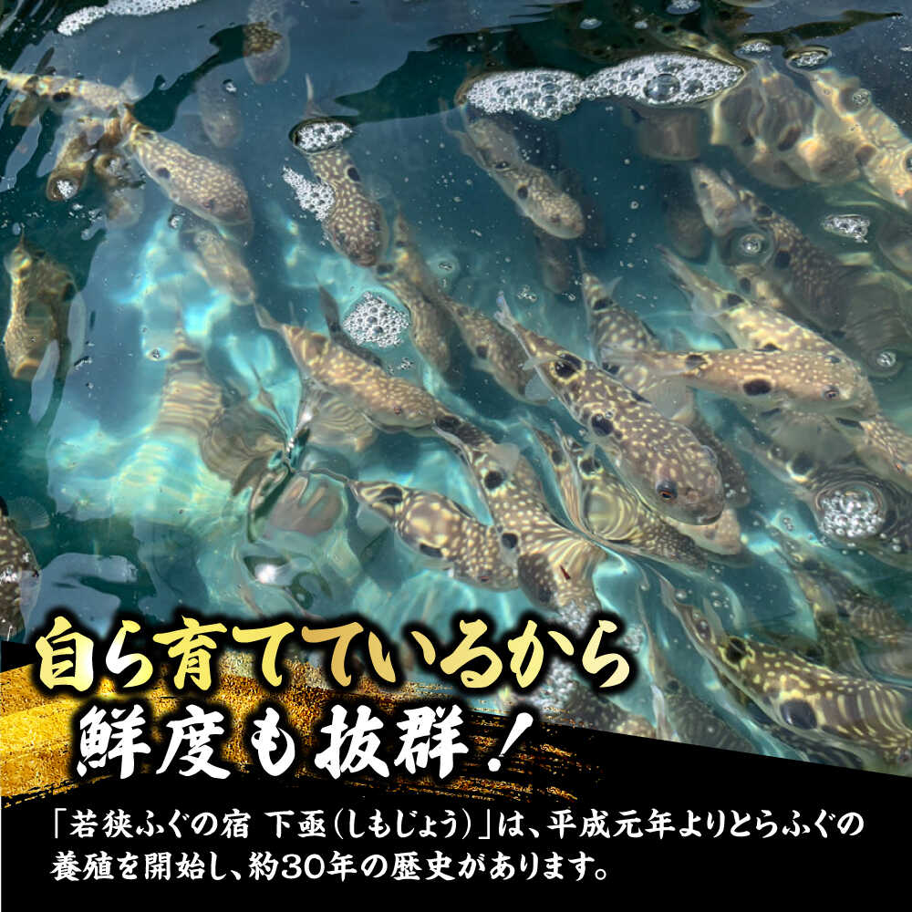 福井県小浜市の画像3