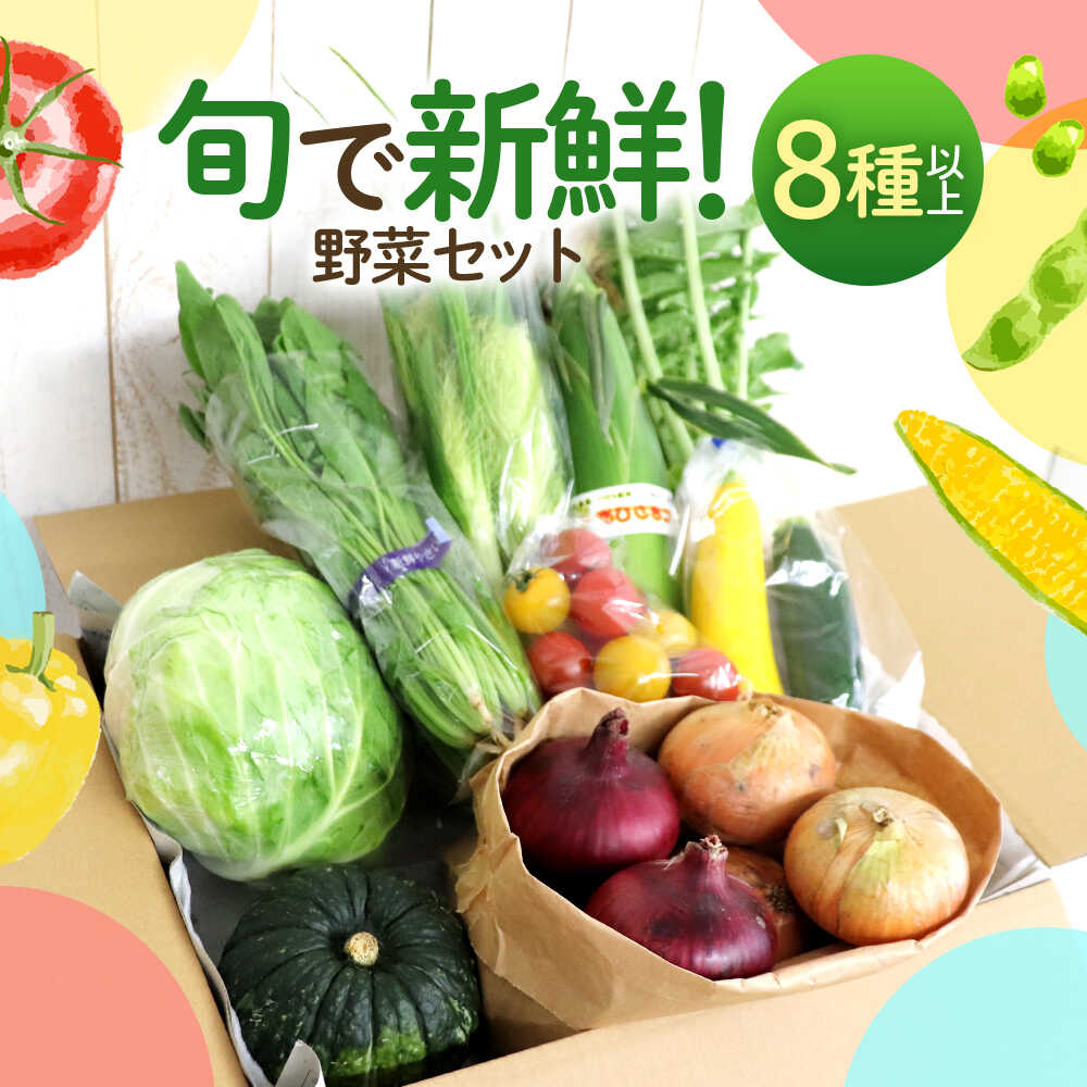 鯖街道からお届けする季節の新鮮野菜セット 8種以上 | 野菜 セット 詰合せ 地産地消 野菜セット 新鮮 旬 旬の野菜 冷蔵 送料無料[A-023004] [BFAN006]