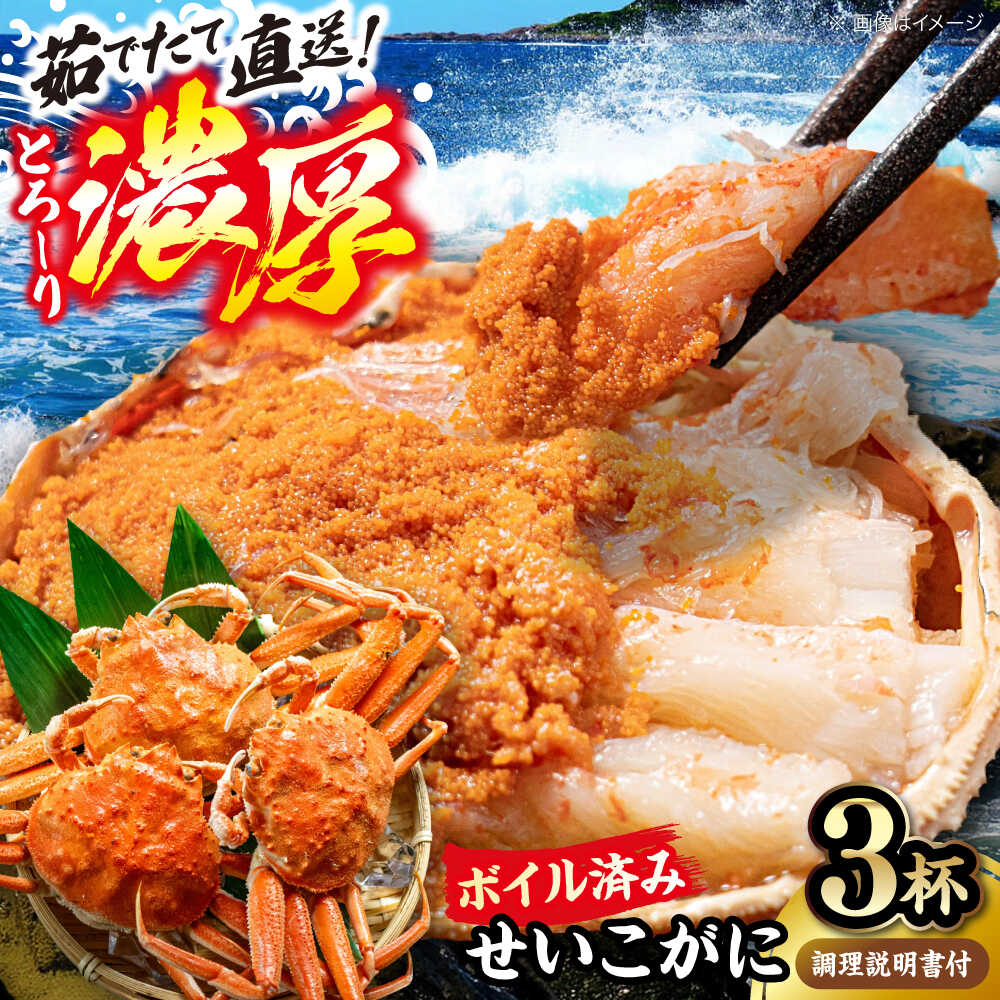 【ふるさと納税】 若狭小浜 茹で ボイル せいこがに 3杯 調理方法の写真入り説明書付き 【冷蔵】 / コ..