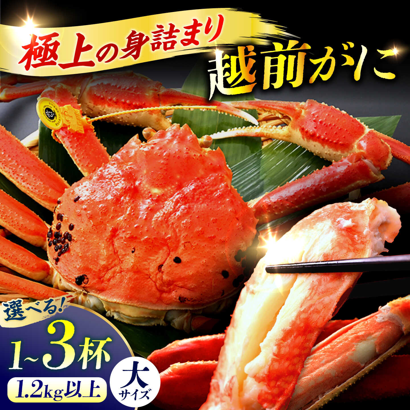 【先行予約/11月7日より順次発送予定】【ふるさと納税】【選べる杯数】【冷蔵】「若狭小浜港産地直送」 越前がに (ズワイガニ) ボイル 大 1～3杯 福井県産 かに カニ 蟹 ボイル済み 小浜市 / 加福鮮魚 [BFBC020][BFBC021][BFBC022]【配送不可地域：北海道・沖縄・離島】
