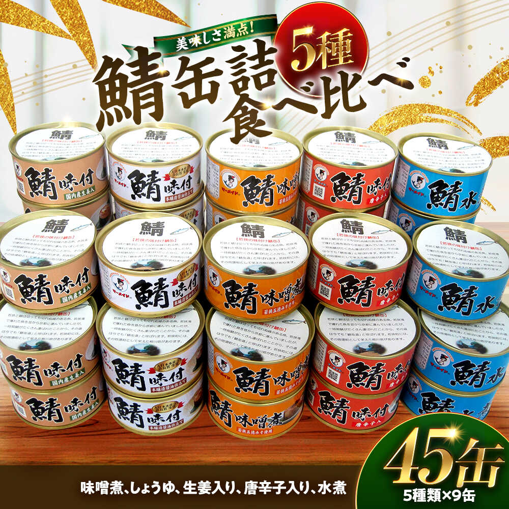 【ふるさと納税】若狭の鯖味付缶詰 2種食べ比べ6缶セット (