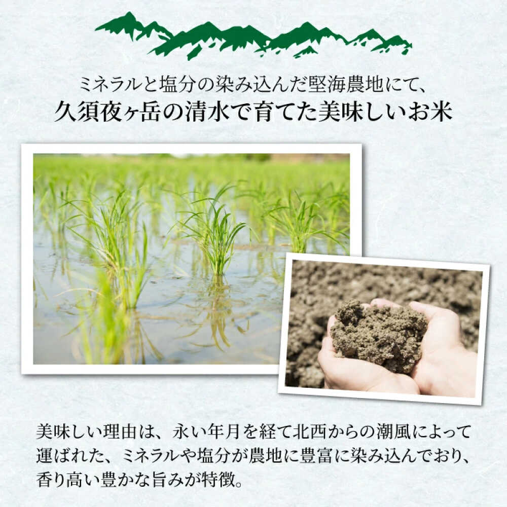 【ふるさと納税】【先行予約/10月中旬以降発送】【令和8年産】福井県産コシヒカリ「千石」 米 10kg / コシヒカリ 10kg 新米 お米 こしひかり 小分け 小浜市 / 千石の郷 [BFCA001] f182044-obama-10002094 福井県小浜市 サンプル画像3