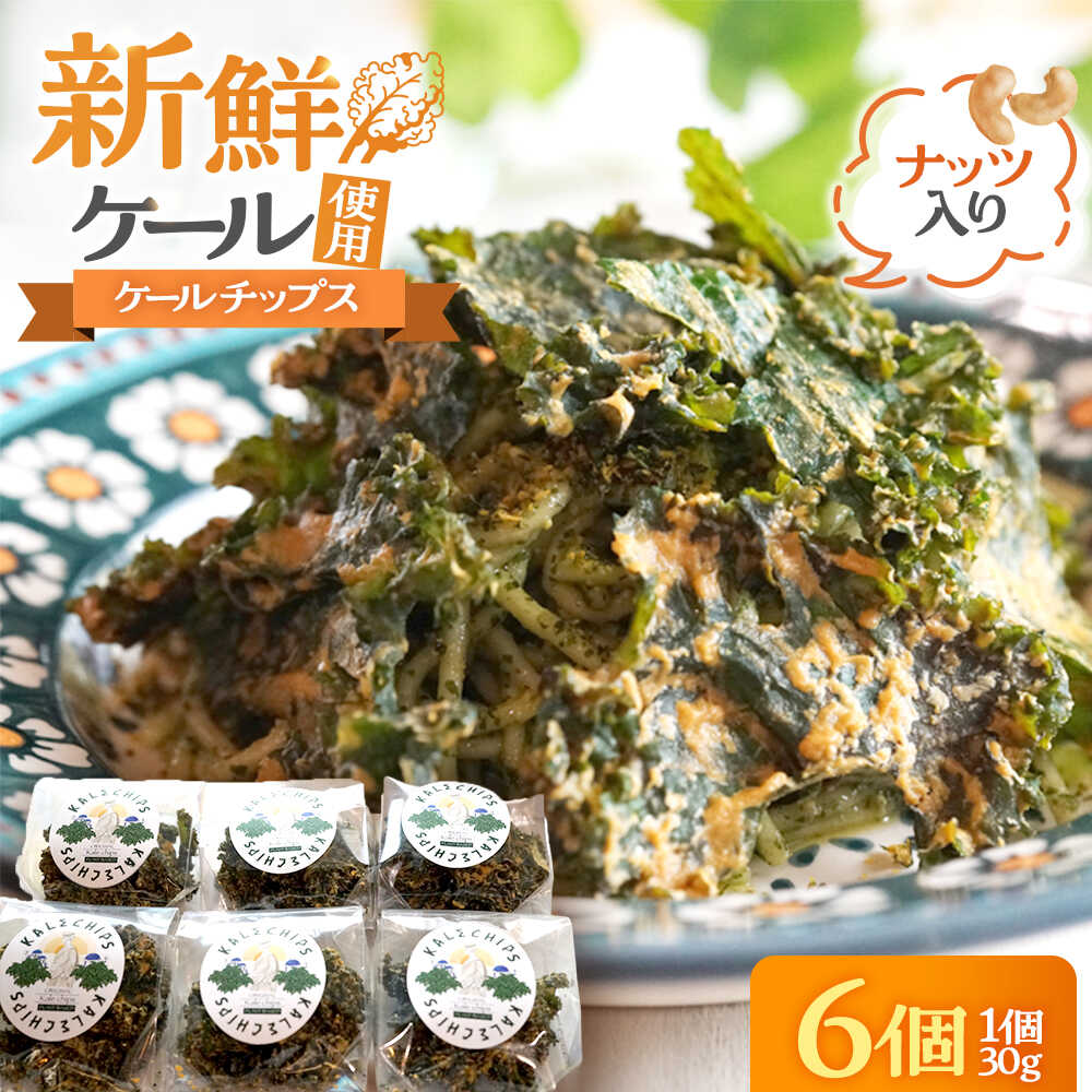 【ふるさと納税】ケールチップス CafeSeasons 手作り 国産ケール使用 カシューナッツとスパイス仕立て / ヘルシー おやつ プラントベース おつまみ 小浜市 / Cafe Seasons[BFCC011]