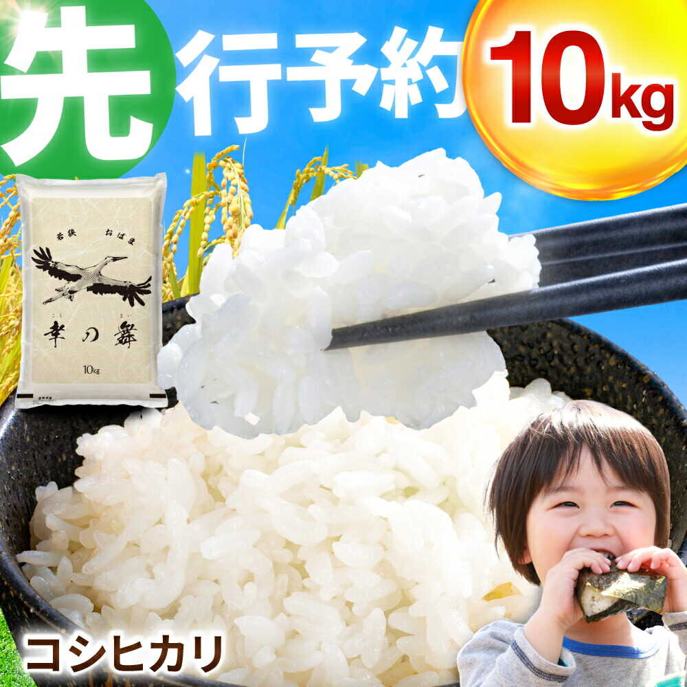 [ 先行予約 /11月以降発送] [令和8年産] 特別栽培米 福井県産 コシヒカリ 10kg お米 白米 小浜市 / 今富の宝 [BFCI005]