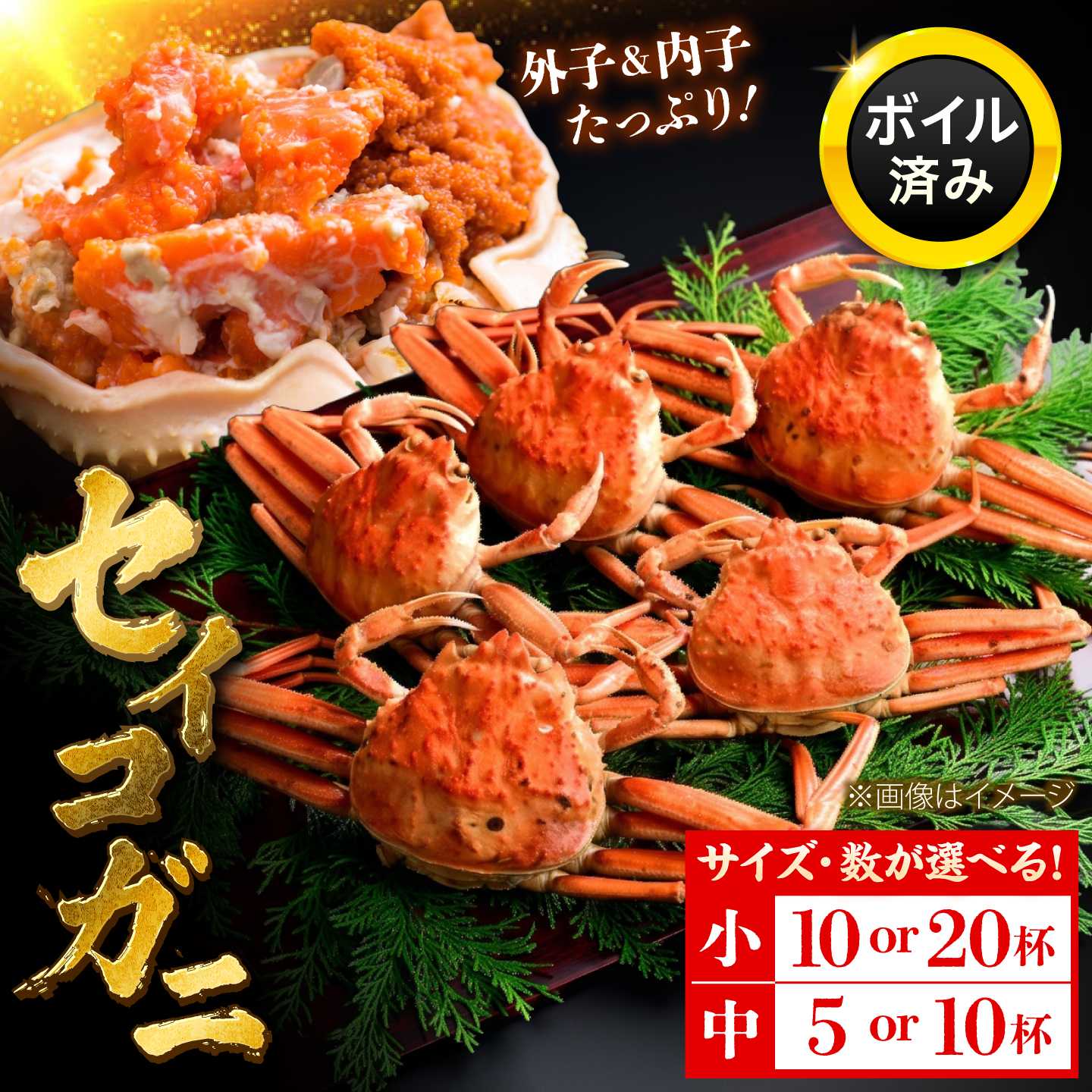 [先行予約/11月7日より順次発送]せいこがに 香箱ガニ メスのズワイガニ 冷蔵 浜茹で 選べる 大小 福井県 / 内子 外子 蟹味噌 冬季限定 コッペガニ / 小浜市 / まるほ商店 [配送不可地域:北海道・沖縄・離島][BFCS015] [BFCS016] [BFCS017] [BFCS077]
