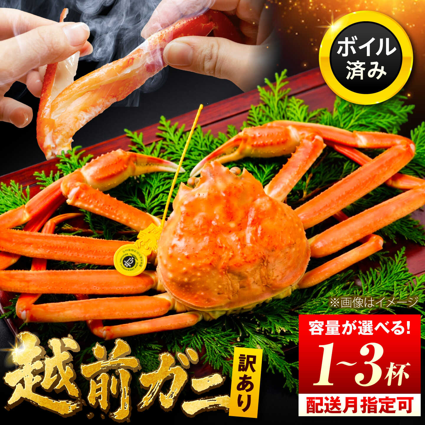 [訳あり][選べる配送月・容量][先行予約/11月7日より順次配送] 脚折れあり 越前がに カニ 蟹 かに 福井県 小浜市 / まるほ商店[配送不可地域:北海道・沖縄・離島][BFCS062-076]